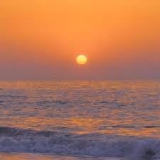 شاہ حسین avatar