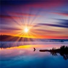 محمد عباس avatar