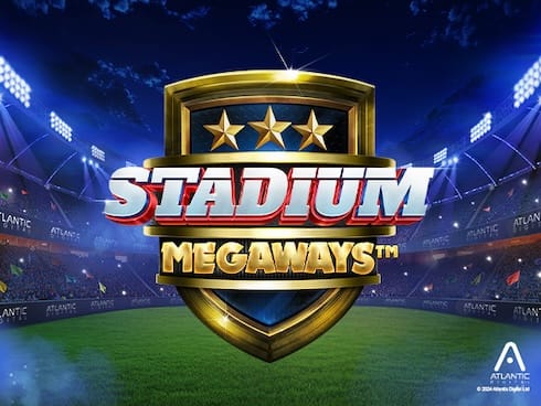 اسٹیڈیم میگا وے screenshot